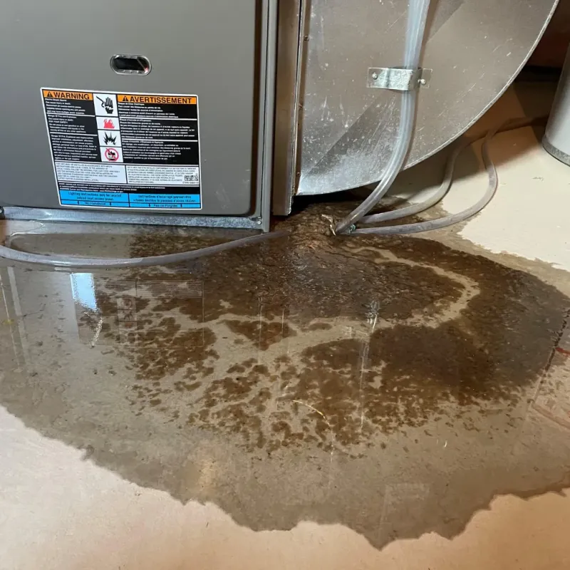 Appliance Leak Cleanup in Pleasant Hill, NC
