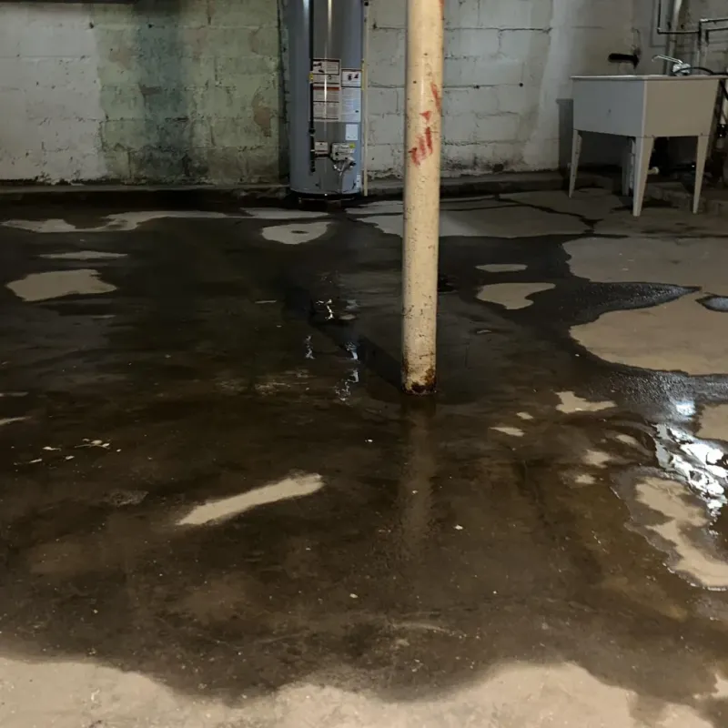 Emergency Water Extraction And Removal in Pleasant Hill, NC